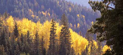 During Fall
