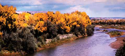 The Rio Grande in Fall